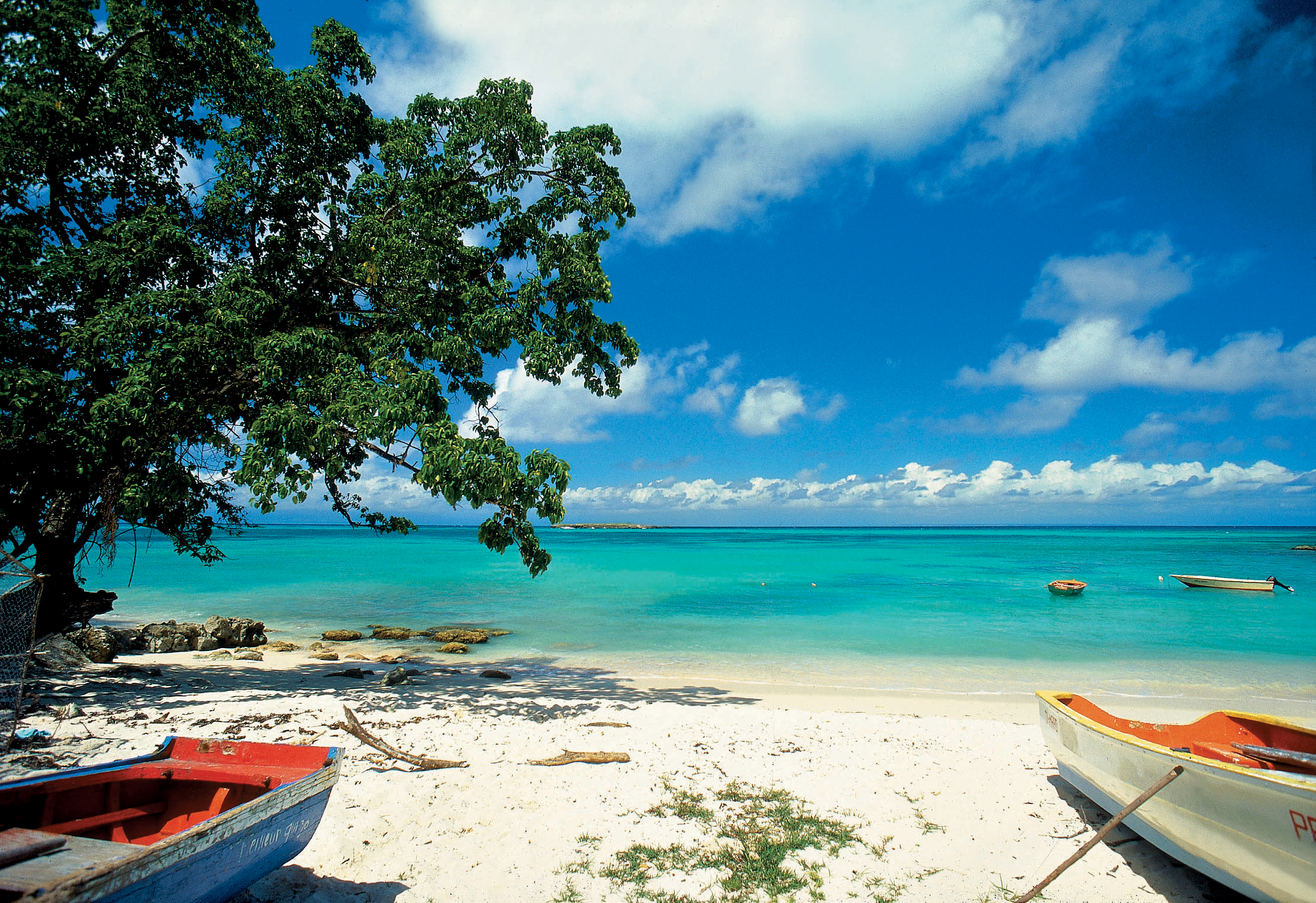 Guadeloupe, un cocktail de sensations !