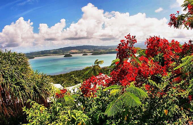 La Martinique, fleur des Caraïbes