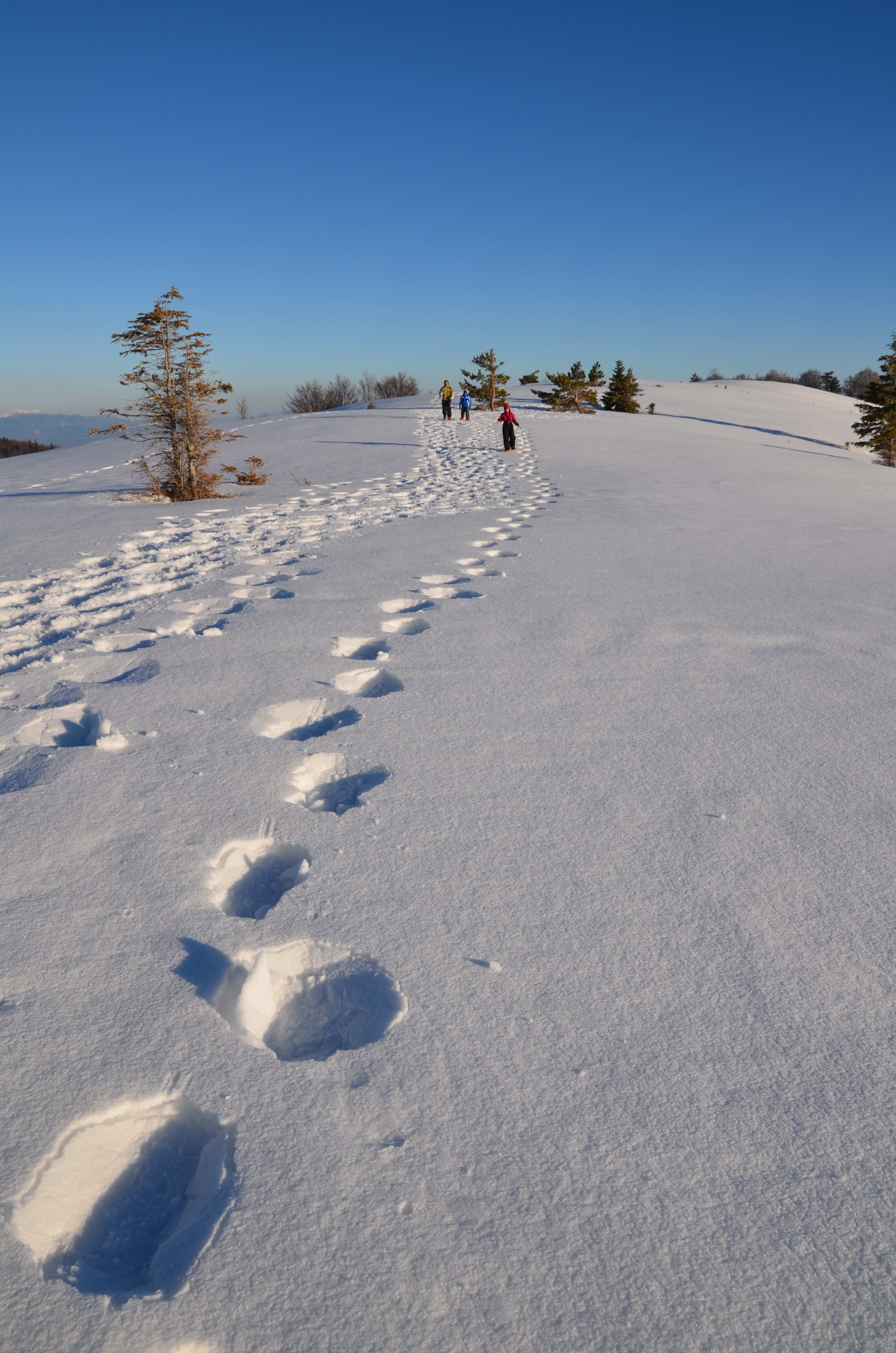 La montagne autrement, Chartreuse raquette, et spa