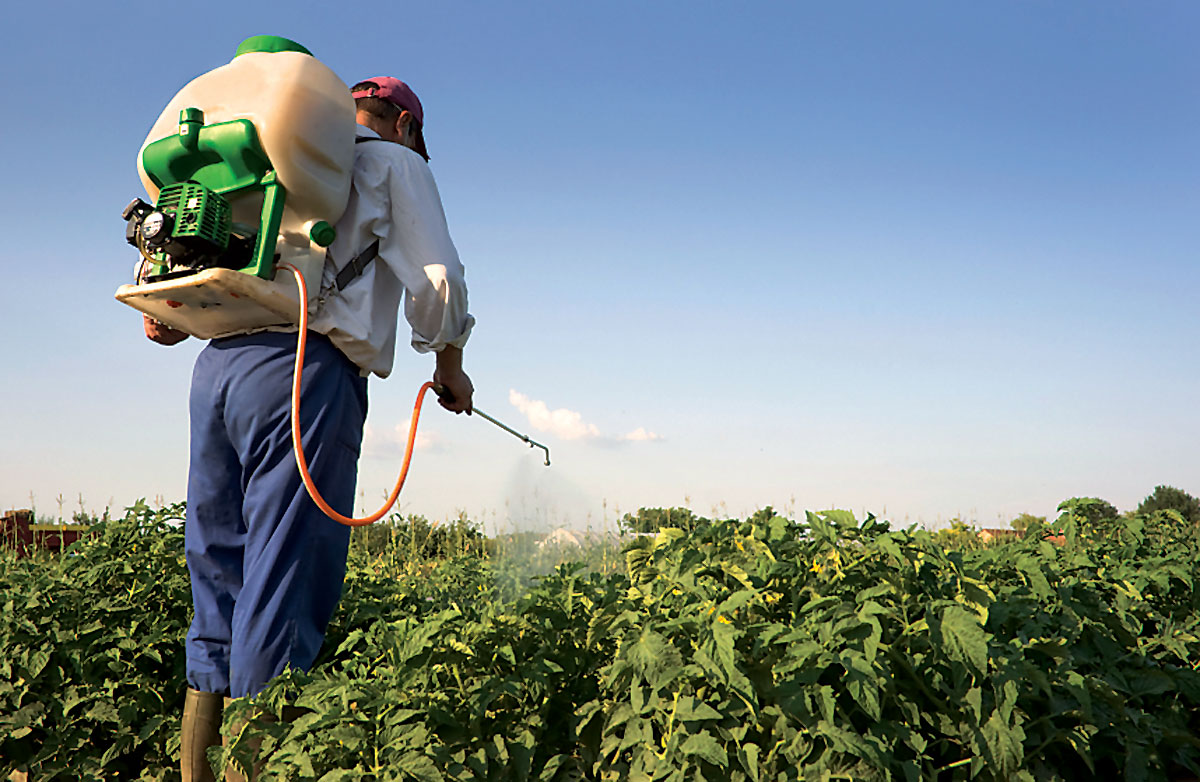 Pesticides : ce qui se cache dans nos assiettes