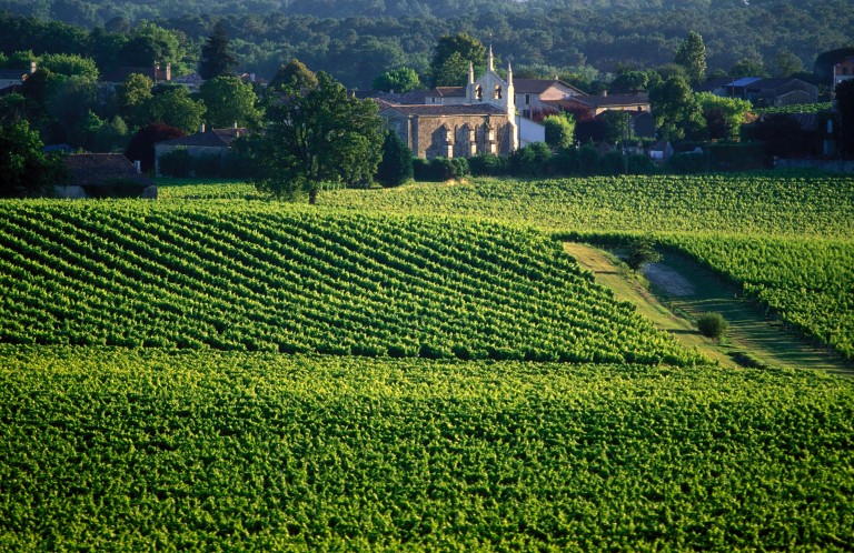 Vignobles bordelais : la route du vin mythique de Bordeaux