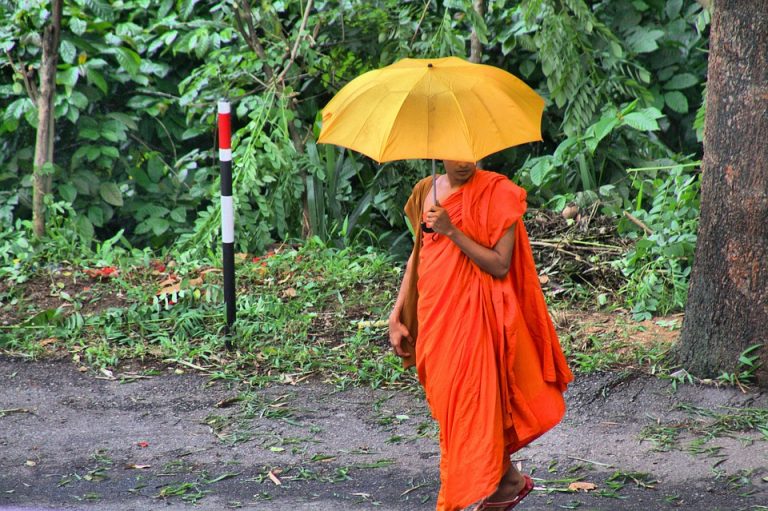 Sri Lanka : voyage au pays du sourire